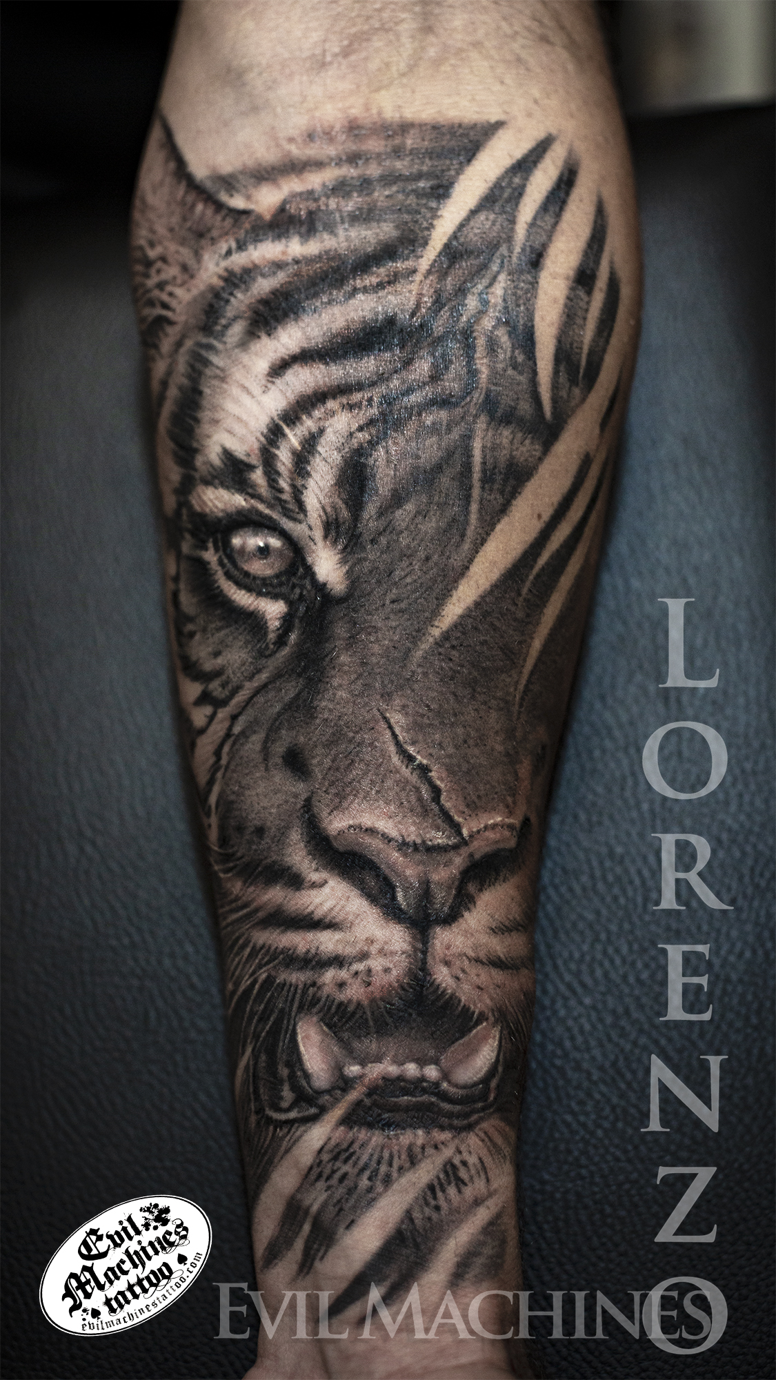 Tigre_Tiger_strappi_foresta_animali_black_gray_sfumato_Lorenzo_tatuatore_Evil_Machines_realistic_tattoo_tatuaggi_realistici_3d_Roma_miglior_migliore_ritratti
